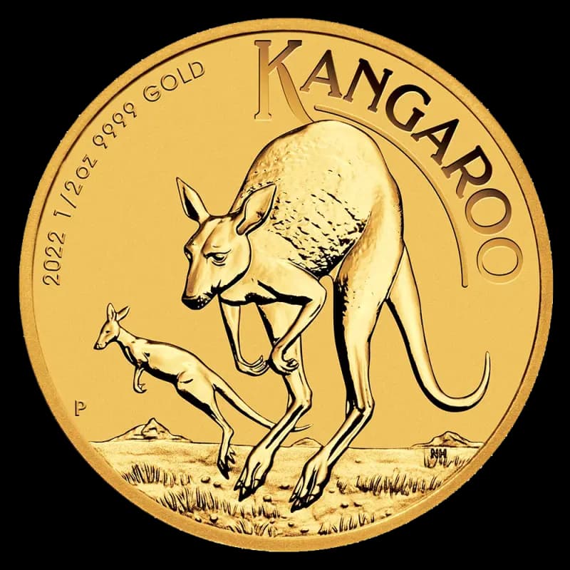 1/2 oz Kangaroo Gold Coin | 2022
