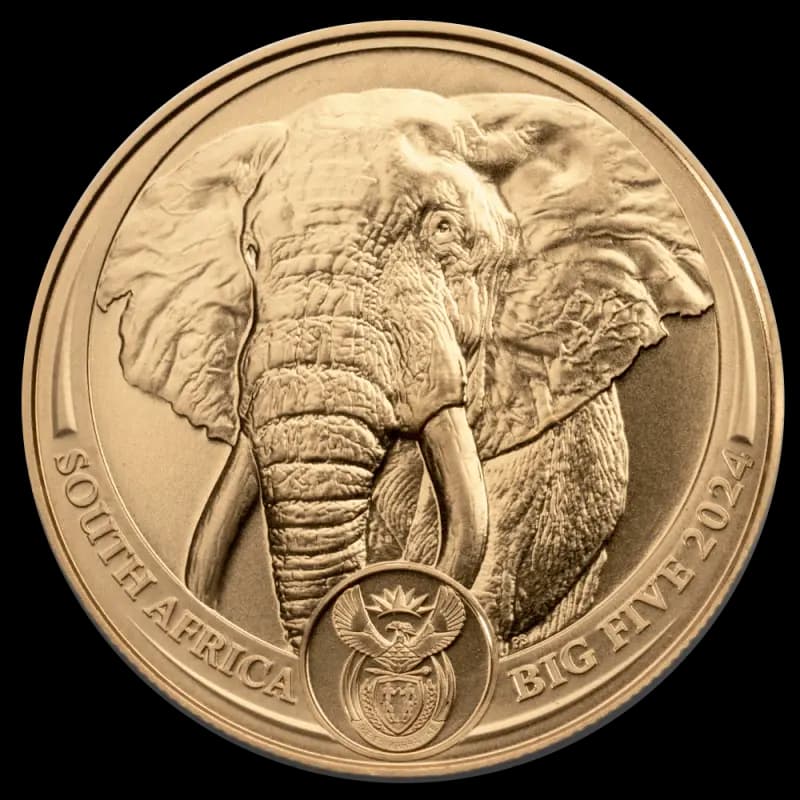 1 oz Big 5 Elephant Gold Coin | 2024