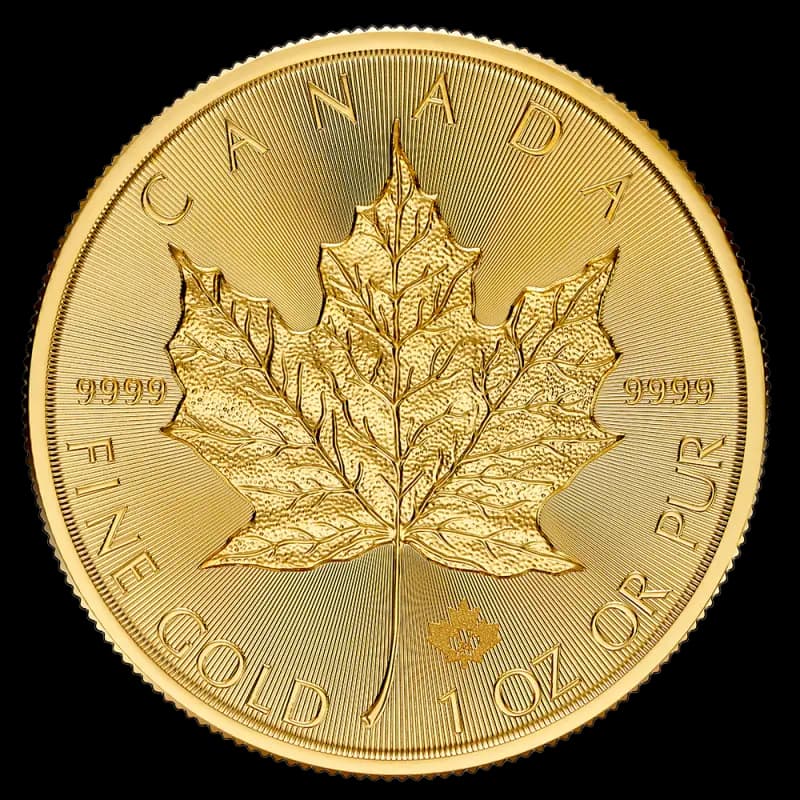 1 oz Maple Leaf Gold Coin | 2024
