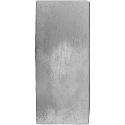 100 oz RCM Silver Bar 2022 2