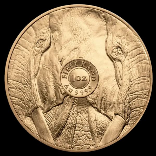 1 oz big 5 elephant gold coin 2024 2 1 600×600