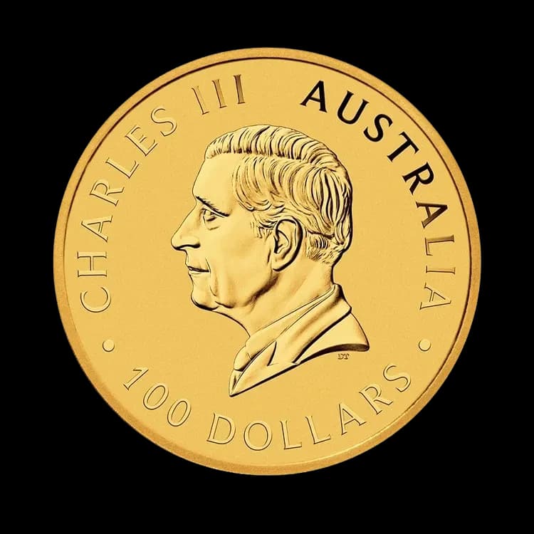 1 troy ounce gouden munt kangaroo 2024 achterkant web big webp xCwiz8bF web big webp